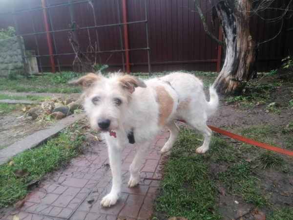 WhatsApp Image 2025-11-04 at 15.26.24.jpeg