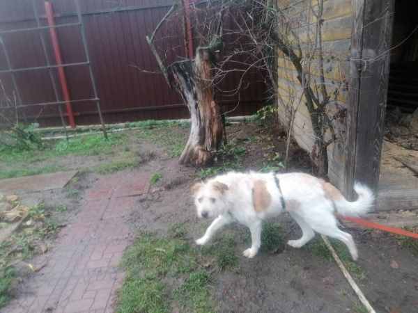 WhatsApp Image 2025-11-04 at 15.26.20.jpeg