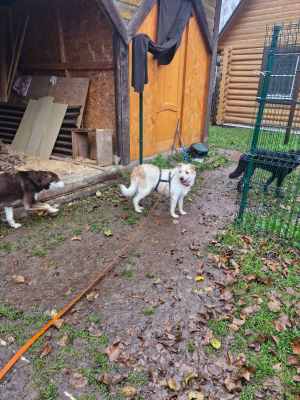 WhatsApp Image 2025-11-04 at 16.14.08 (1).jpeg