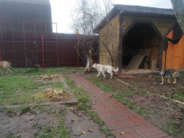 WhatsApp Image 2025-11-04 at 15.26.24 (1).jpeg