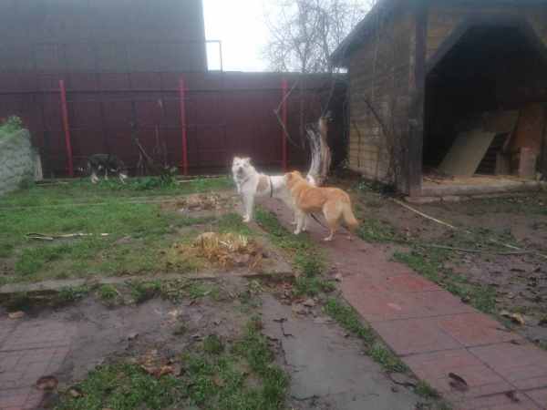 WhatsApp Image 2025-11-10 at 01.40.44 (1).jpeg