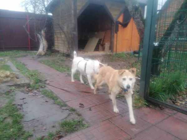 WhatsApp Image 2025-11-10 at 01.40.42 (2).jpeg