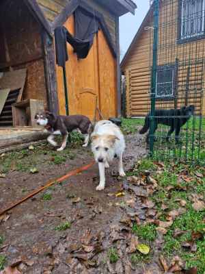 WhatsApp Image 2025-11-04 at 16.14.08.jpeg