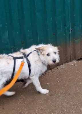 WhatsApp Image 2025-11-04 at 16.13.29 (2).jpeg