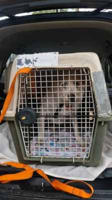 WhatsApp Image 2025-11-04 at 16.13.29.jpeg