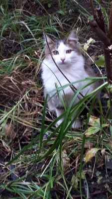 IMG-20251104-WA0006.thumb.jpg.a9d52535637d952bc5669cefdf024bd5.jpg
