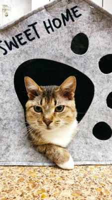 IMG-20251110-WA0002.thumb.jpg.67045c4ea0bbc9d939de928726b4b3a9.jpg