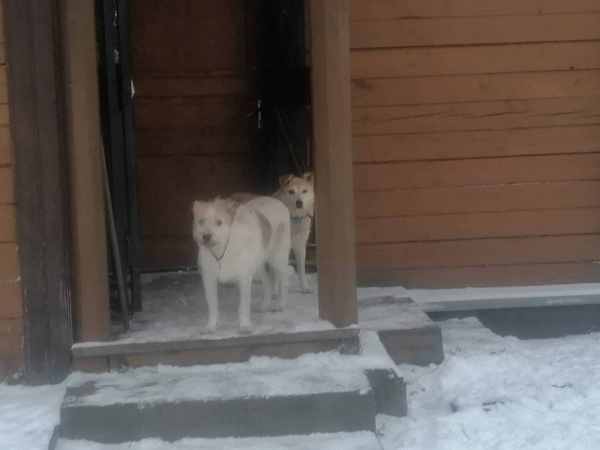 WhatsApp Image 2025-12-13 at 09.22.54.jpeg