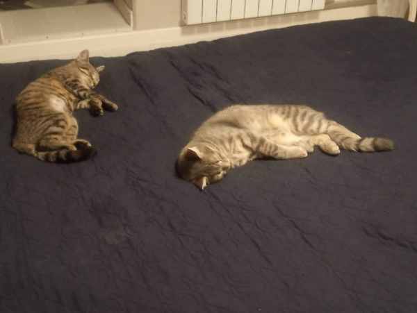 WhatsApp Image 2025-12-29 at 14.01.46.jpeg