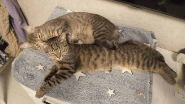 WhatsApp Image 2025-12-29 at 14.01.46(1).jpeg