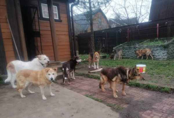 WhatsApp Image 2025-12-01 at 15.45.48.jpeg