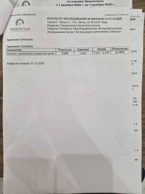 WhatsApp Image 2025-12-10 at 02.04.56.jpeg