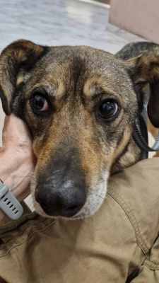 WhatsApp Image 2025-12-10 at 01.25.39.jpeg