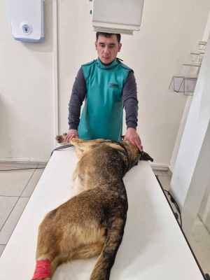 WhatsApp Image 2025-12-10 at 01.25.08.jpeg