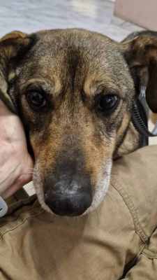 WhatsApp Image 2025-12-10 at 01.25.43.jpeg