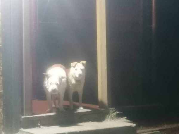 WhatsApp Image 2025-12-06 at 20.08.42.jpeg