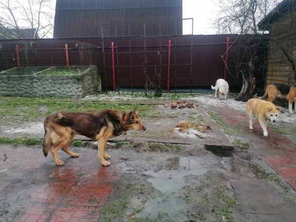 WhatsApp Image 2025-12-17 at 14.04.52.jpeg