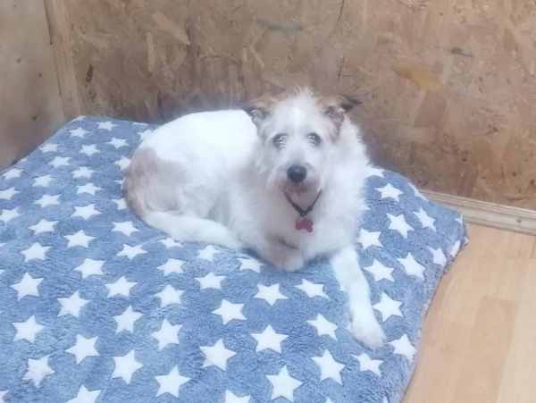 WhatsApp Image 2025-12-13 at 09.22.52.jpeg