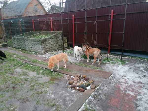 WhatsApp Image 2025-12-17 at 14.04.53.jpeg