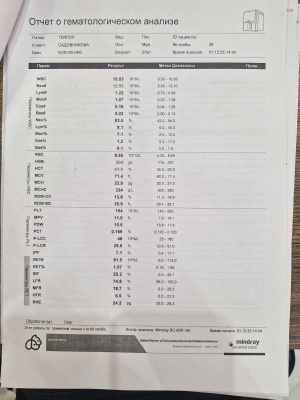 WhatsApp Image 2025-12-10 at 02.06.01.jpeg