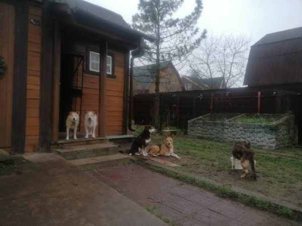 WhatsApp Image 2025-12-05 at 15.11.55.jpeg