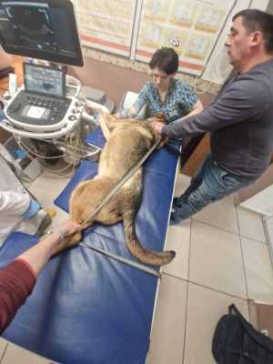 WhatsApp Image 2025-12-10 at 01.26.35.jpeg