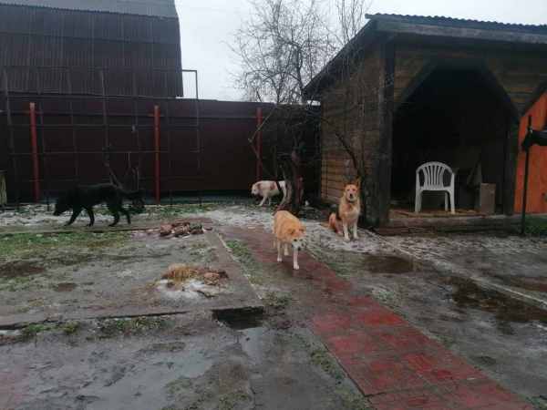 WhatsApp Image 2025-12-17 at 14.05.41.jpeg