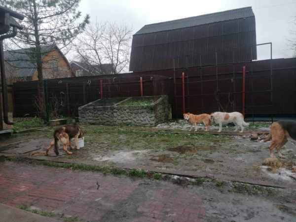 WhatsApp Image 2025-12-17 at 14.04.53 (2).jpeg