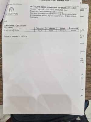 WhatsApp Image 2025-12-10 at 02.04.57.jpeg