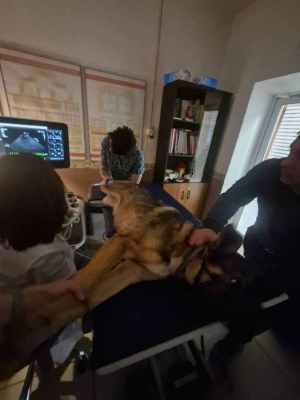 WhatsApp Image 2025-12-10 at 01.24.17.jpeg