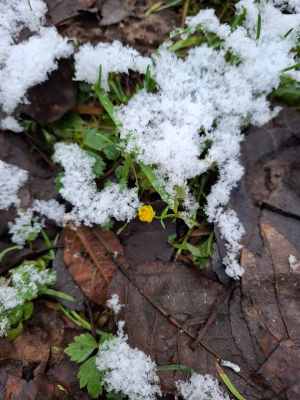 WhatsApp Image 2025-12-04 at 01.29.23.jpeg