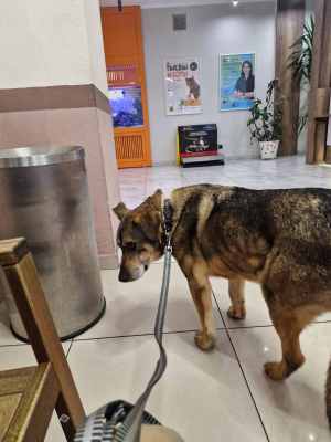 WhatsApp Image 2025-12-10 at 01.26.23.jpeg