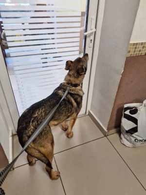 WhatsApp Image 2025-12-10 at 01.25.12.jpeg