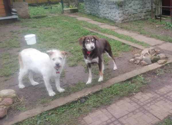 WhatsApp Image 2025-12-03 at 14.52.16.jpeg