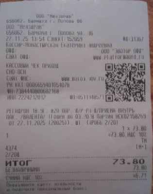 регидрон 11 27.jpg