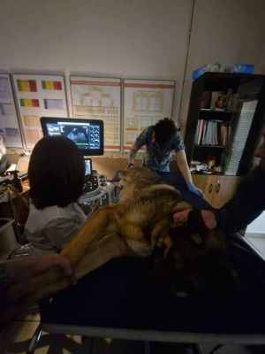 WhatsApp Image 2025-12-10 at 01.24.16.jpeg