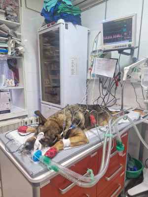 WhatsApp Image 2025-12-10 at 01.25.14.jpeg