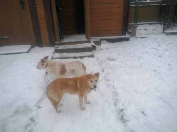 WhatsApp Image 2025-12-13 at 09.22.53.jpeg