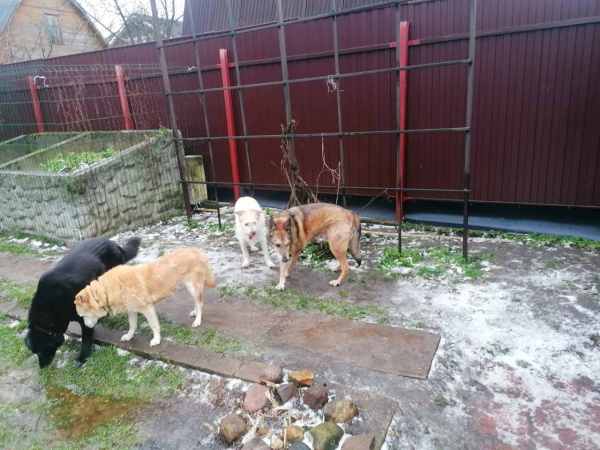 WhatsApp Image 2025-12-17 at 14.04.53 (1).jpeg