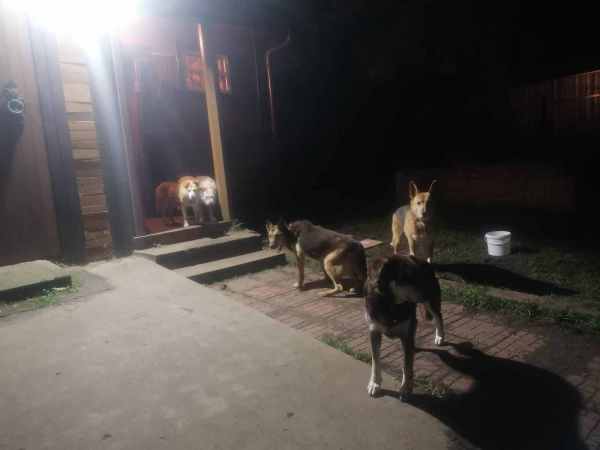 WhatsApp Image 2025-12-01 at 20.29.49.jpeg