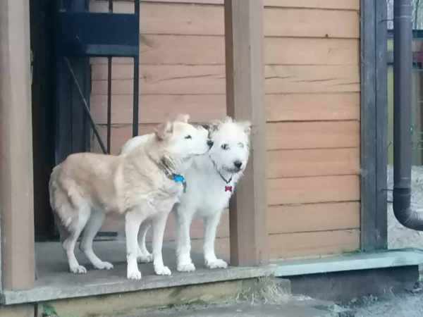 WhatsApp Image 2025-12-18 at 15.21.17 (1).jpeg