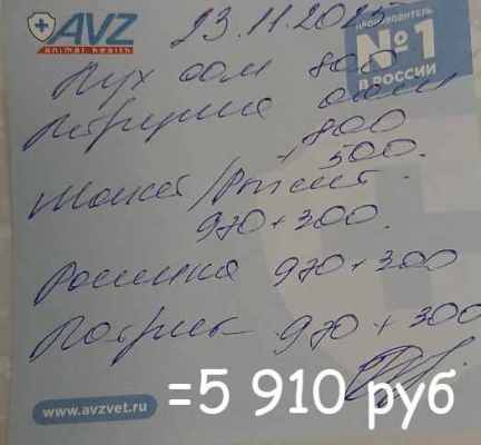 клиника лен 11 23.jpg