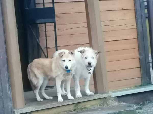 WhatsApp Image 2025-12-18 at 15.21.17.jpeg