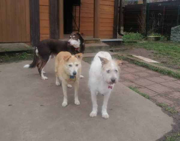 WhatsApp Image 2025-12-03 at 14.51.35.jpeg