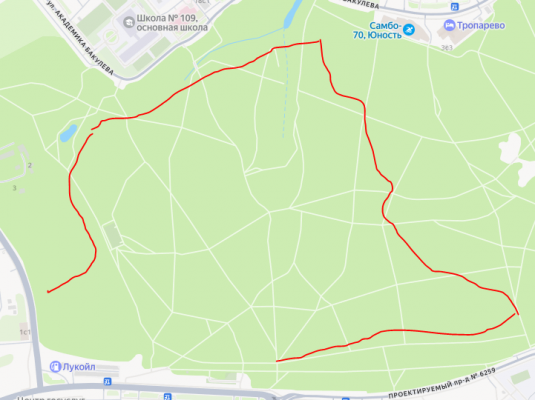 СнимокНайда гуляет.PNG