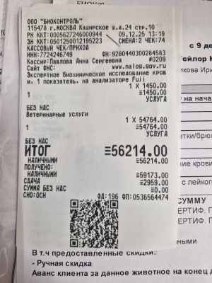 WhatsApp Image 2025-12-09 at 14.58.35.jpeg