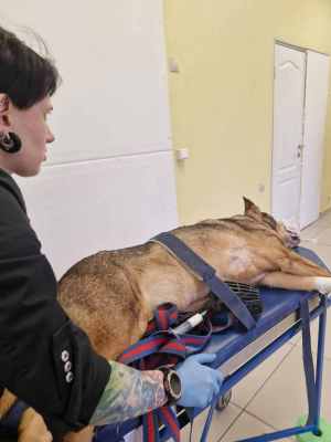 WhatsApp Image 2025-12-10 at 01.28.04.jpeg