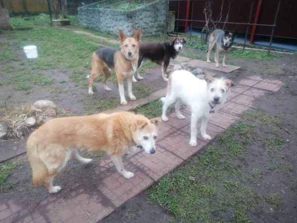 WhatsApp Image 2025-12-03 at 14.52.11.jpeg