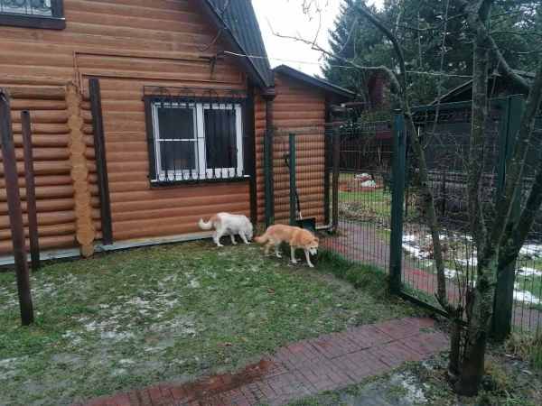 WhatsApp Image 2025-12-17 at 14.04.54.jpeg