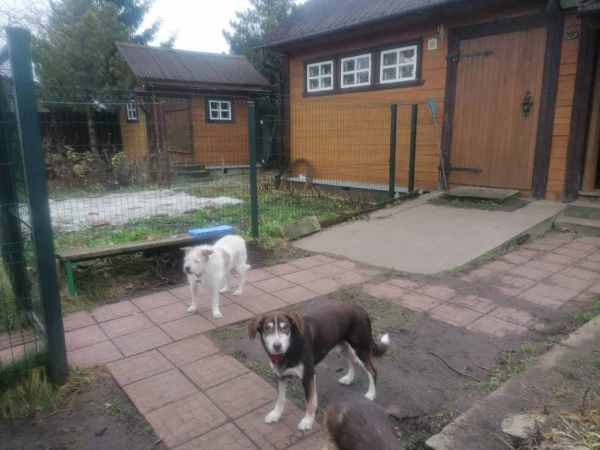 WhatsApp Image 2025-12-03 at 14.52.48.jpeg